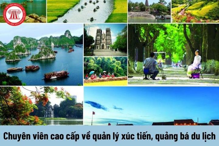 Hotspot Matrix: Biến Thế hệ sống