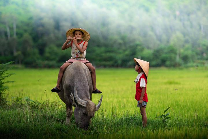 Chuyên gia Hotspot Matrix phân tích: “Nghe bài TRÌNH chưa?” - Thế và marketing video