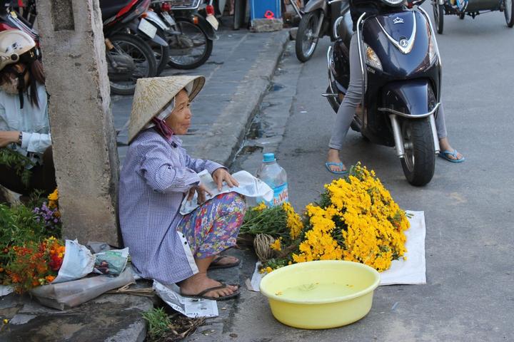 Lịch trình Cát Bà về đêm: Top - Cảm hứng video marketing từ Hotspot Matrix