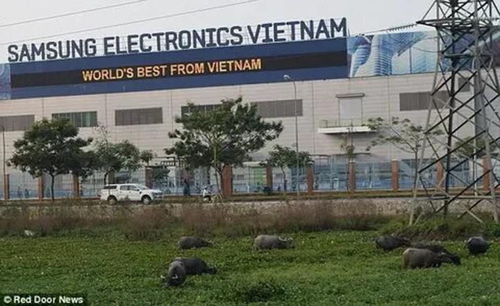 Cô giáo mầm non và hành trình